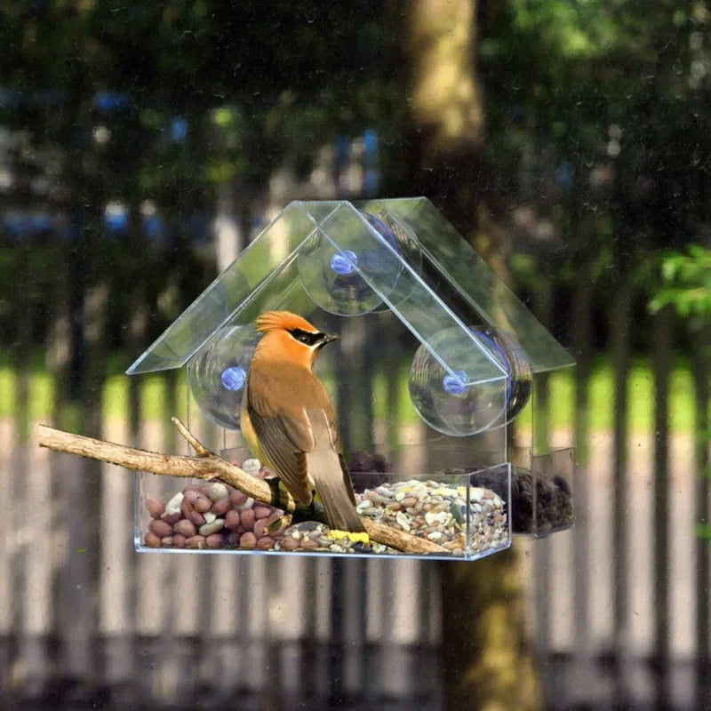 Removable Feeder for Birds