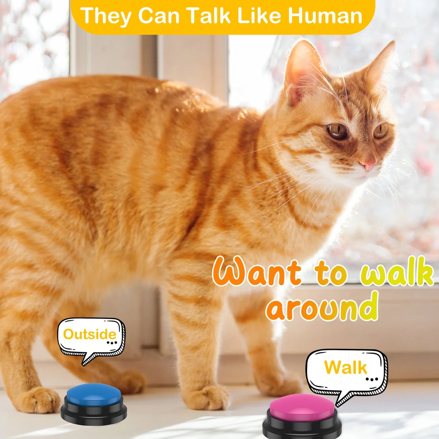 Smart Pet Training Talking Button Set