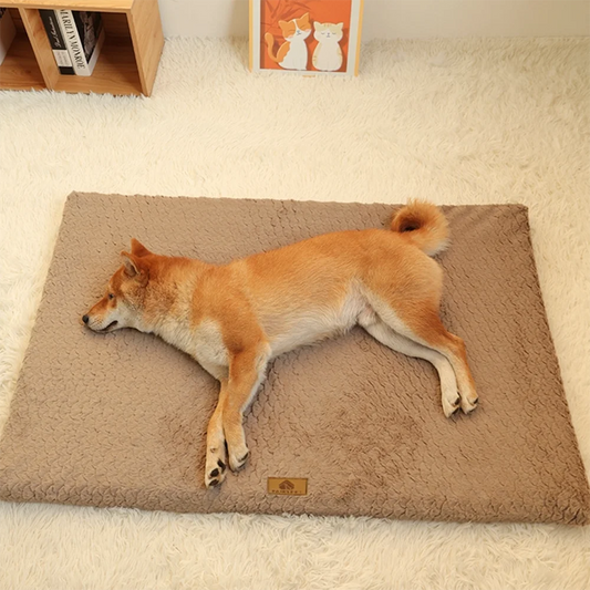 Orthopedic Memory Foam Dog Bed