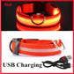 USB Charging Glowing Collar With Pendant