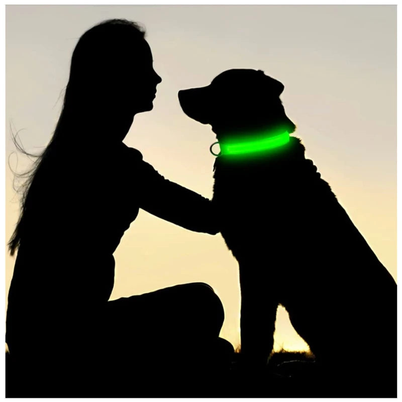 USB Charging Glowing Collar With Pendant