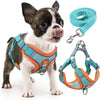 Reflective Dog Harness for Small Dogs