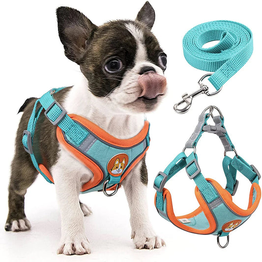 Reflective Dog Harness for Small Dogs