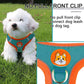 Reflective Dog Harness for Small Dogs