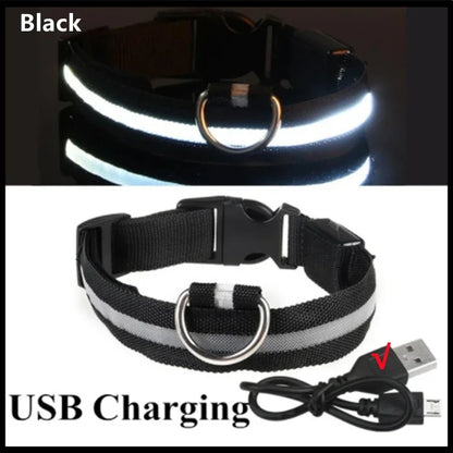 USB Charging Glowing Collar With Pendant