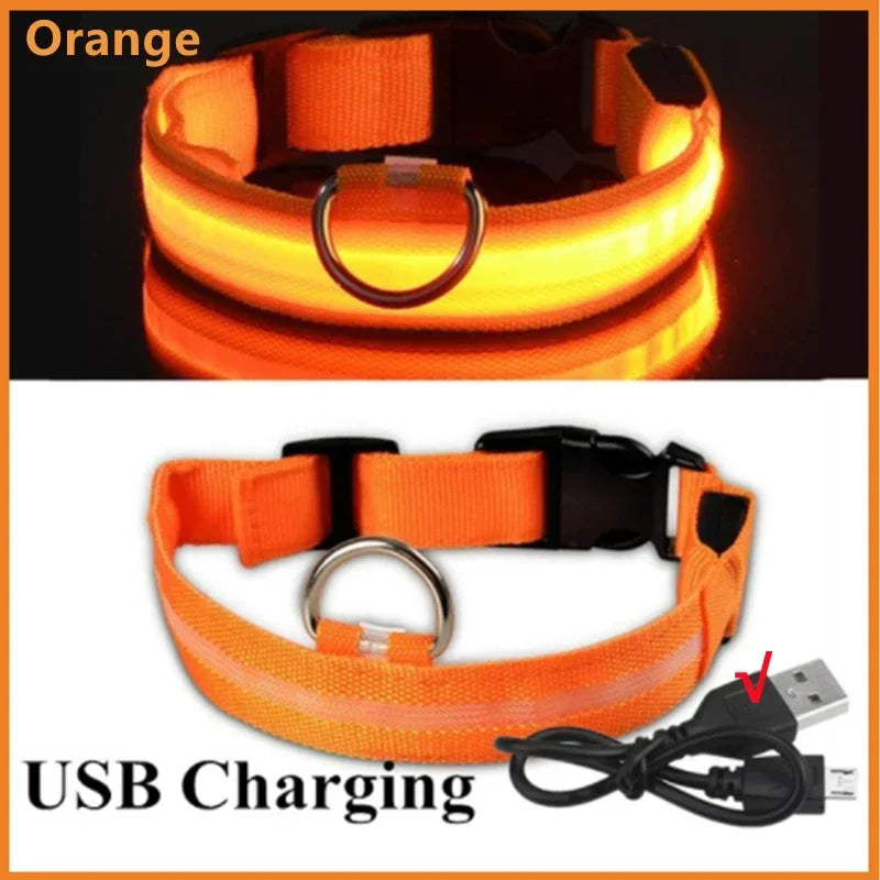 USB Charging Glowing Collar With Pendant
