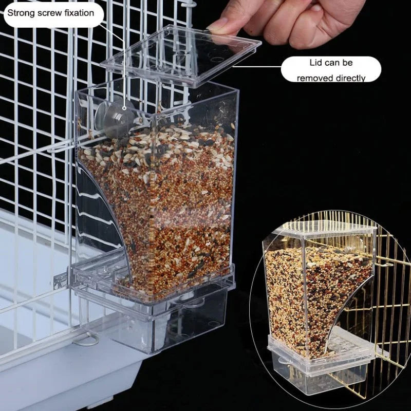 Removable Feeder for Birds