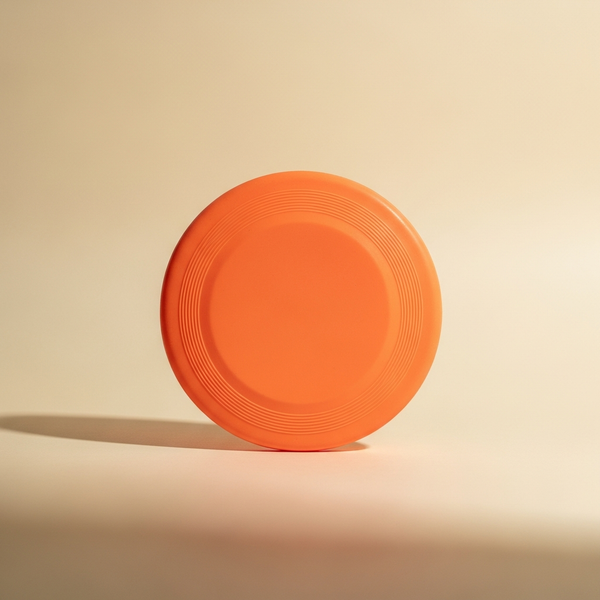 The Fetch Disk