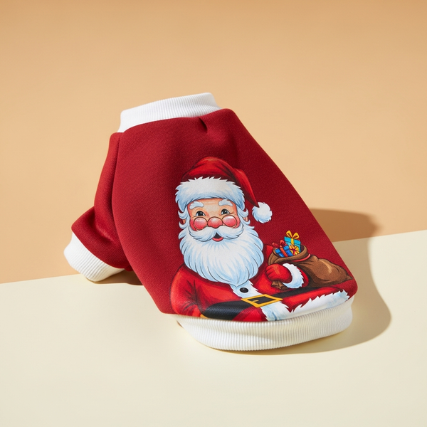 The Santa Claus Print Sweatshirt