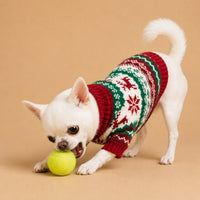 The Festive Holiday Pullover on a white dog in a red and green Christmas sweater