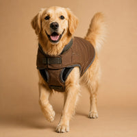 The Large Breed Sport Hoodie on a golden retriever in brown winter wear