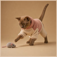 Cat wearing pink double-sided winter jacket