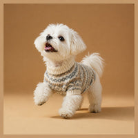The Cold-Weather Coat styling reference on a small dog in a knit sweater