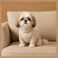 The Fleece Leisure Suit on a small dog in a cream sweater