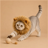 Cat wearing lion mane costume playing with ball