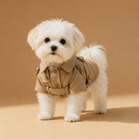 The Petal Dress styling reference on a small dog in a tan outfit