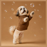 The Hearthside Knit Sweater on a small dog in a brown knit sweater