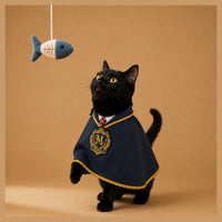 Black cat wearing Magic Academy Halloween cape