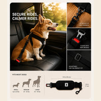 Square pet-perspective reference showing secure calmer rides with the adjustable pet car safety belt, harness attachment, buckle, adjuster, and fit guide