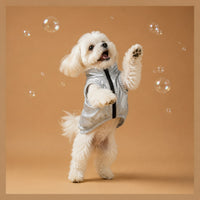 The Reflective Waterproof Rain Coat on a small white dog in a silver zipper vest