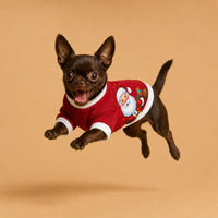 Dog wearing red Santa Claus print sweatshirt