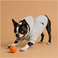Dog wearing light gray pet hoodie