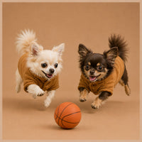 The Cotton Winter Jacket on two small dogs in brown cotton jackets