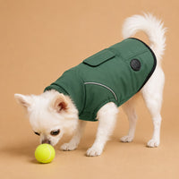 The Patchwork Winter Dog Coat on a white dog in a green coat
