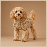 The Bear Patch Knit Sweater on a small dog in a tan cable-knit sweater