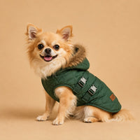 The Large Breed Fleece Winter Coat on a dog in a green hooded coat