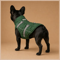 The Windproof Winter Field Coat on a dog in a green winter coat