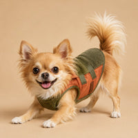 The Winter Walking Vest on a small dog in an orange and green vest