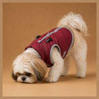 The Winter Waterproof Vest on a small dog in a red waterproof vest